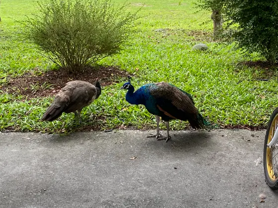 豊之谷自然生態公園