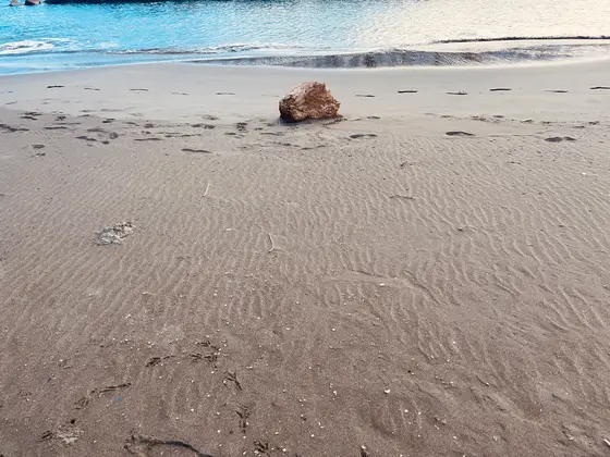 バス停の目の前の海岸