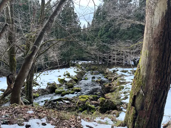 川のせせらぎ音が心地良いです