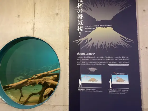 海の中からの視点でも見られます