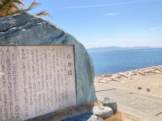 お散歩、ひなたぼっこに最適