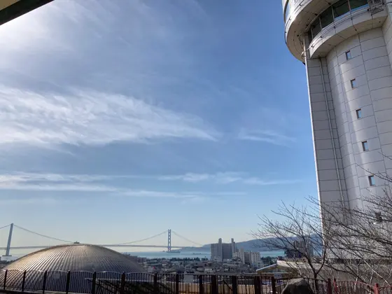 振り返ったら絶景だった