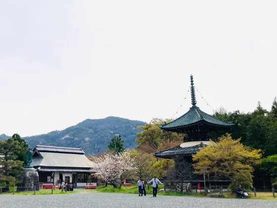 多宝塔