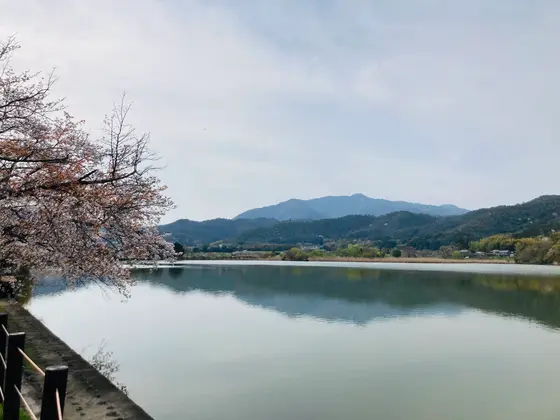 眺望も素晴らしい👍