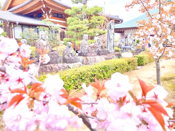 お隣の"蓮華寺"にもぜひ