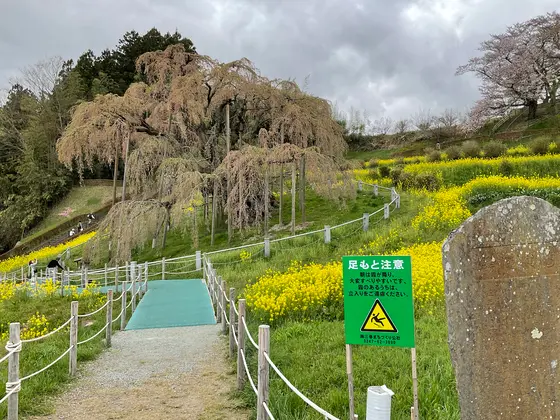 スポット内のおすすめ