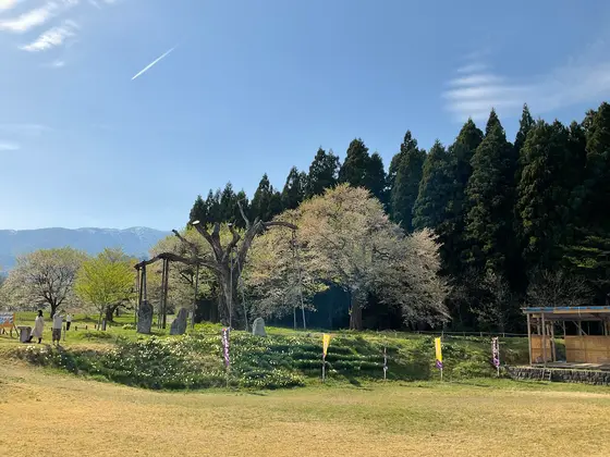 スポット内のおすすめ