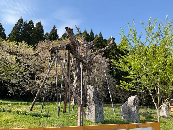 スポット内のおすすめ