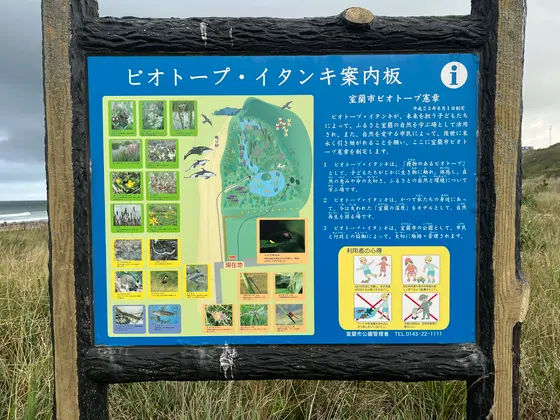 スポット内のおすすめ
