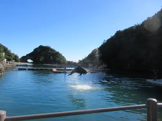 クジラショー