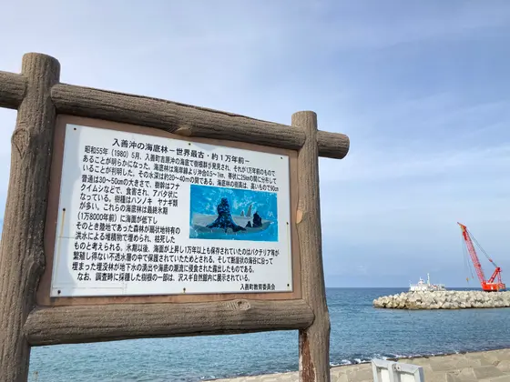 海に出ました