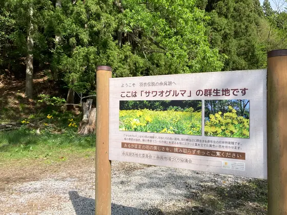 スポット内のおすすめ