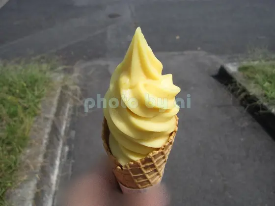 夏みかんのソフトクリーム
