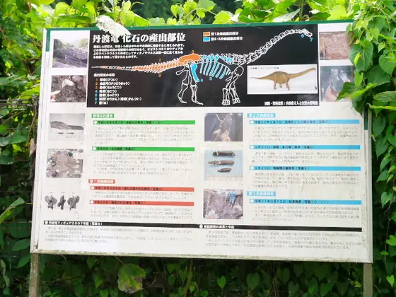実は恐竜と深い関係が‥