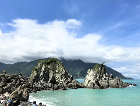 粉鳥林魚港