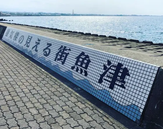 次来た際にはぜひ