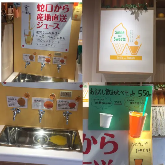 愛媛の柑橘ジュースとジェラート専門店