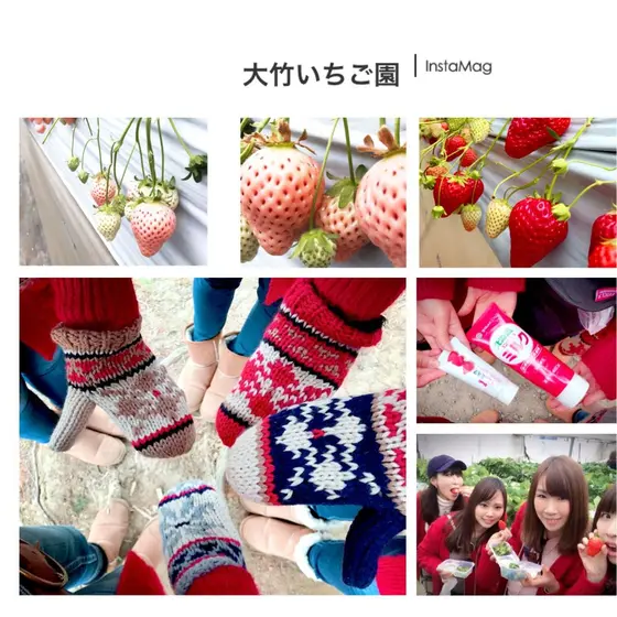 白イチゴ