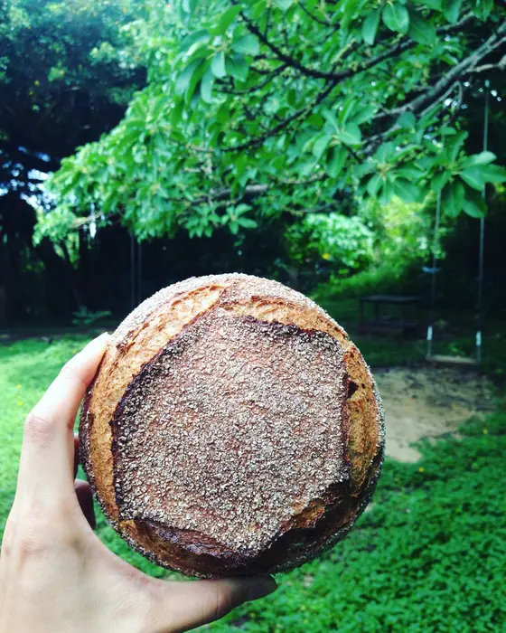 沖縄県の読谷小麦を使ったパン