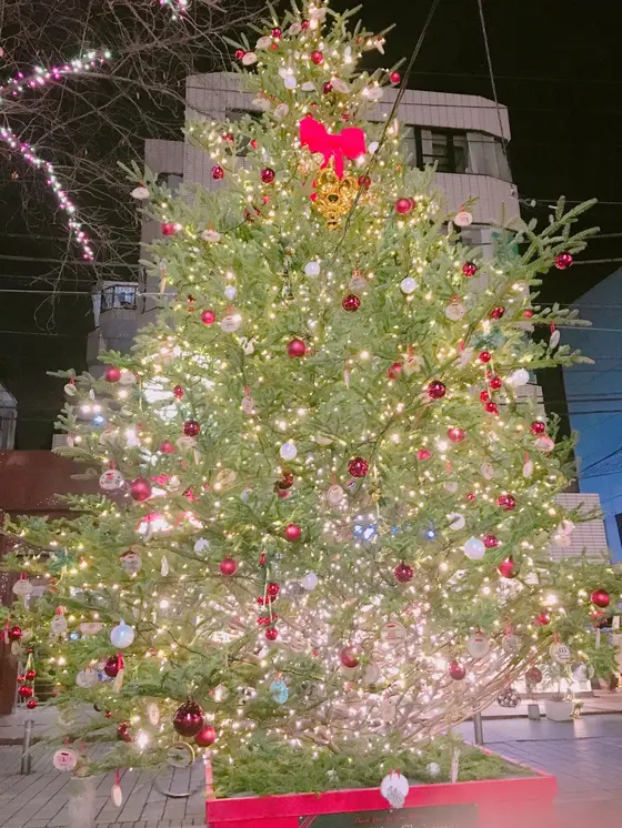 クリスマスには大きなツリーが！