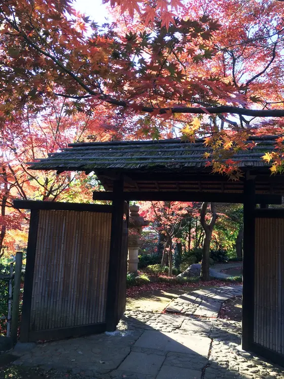 庭。かつては富士山や目黒川を借景にしていたとか。