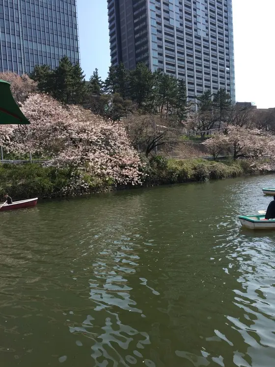 ボートも。🚣