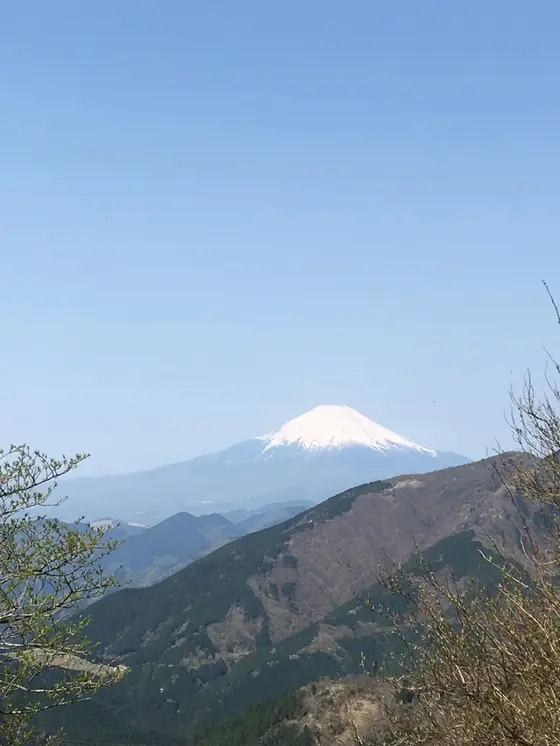 富士山