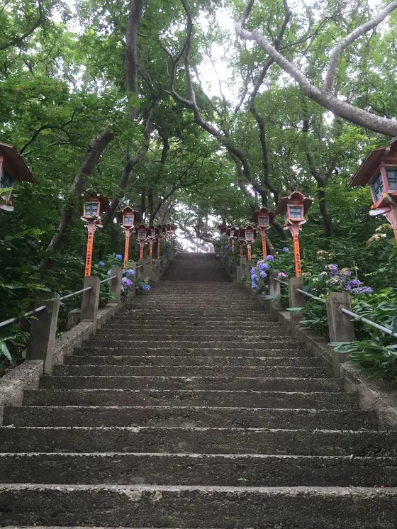 まずは急な階段を登ります