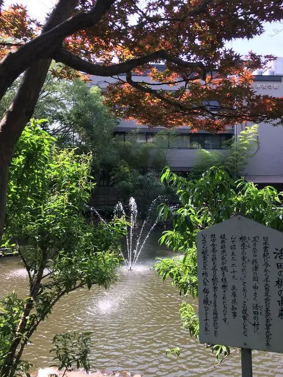 「都会のオアシス」でしょうか。
生田の森と生田の池にはマイナスイオンが溢れています。