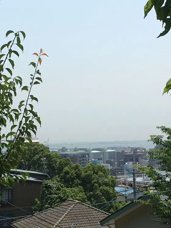 神戸港が見渡せます
