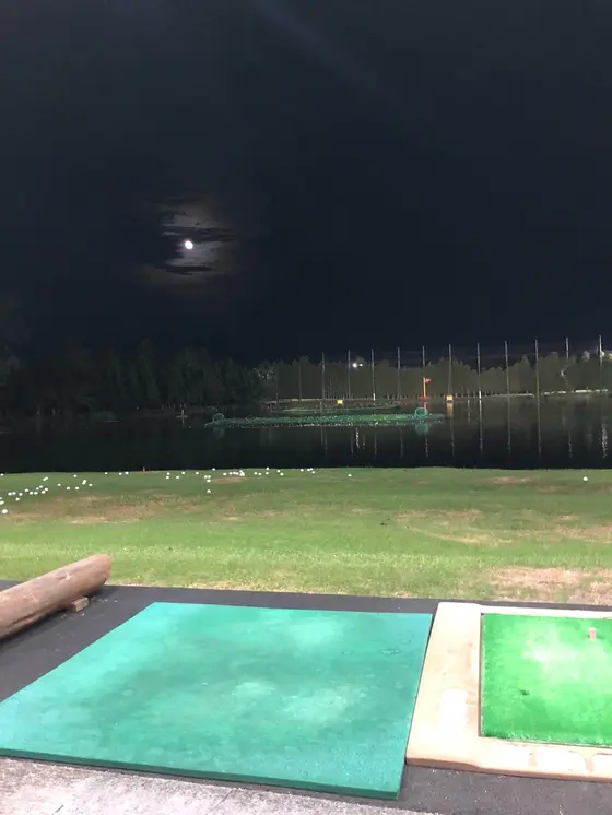 池に向かって