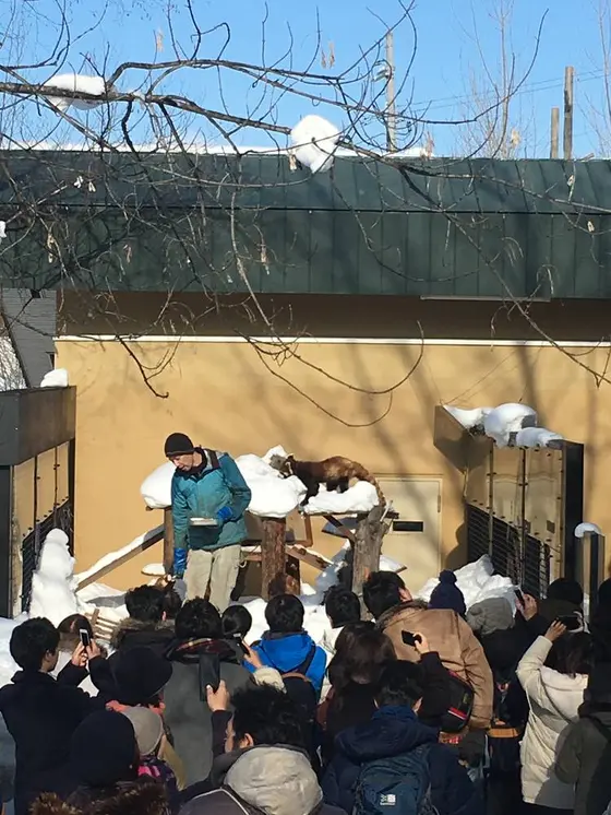 もぐもぐタイム〜レッサーパンダ〜