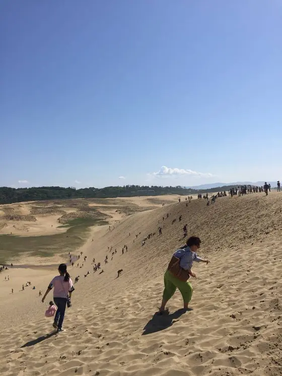 砂の坂
