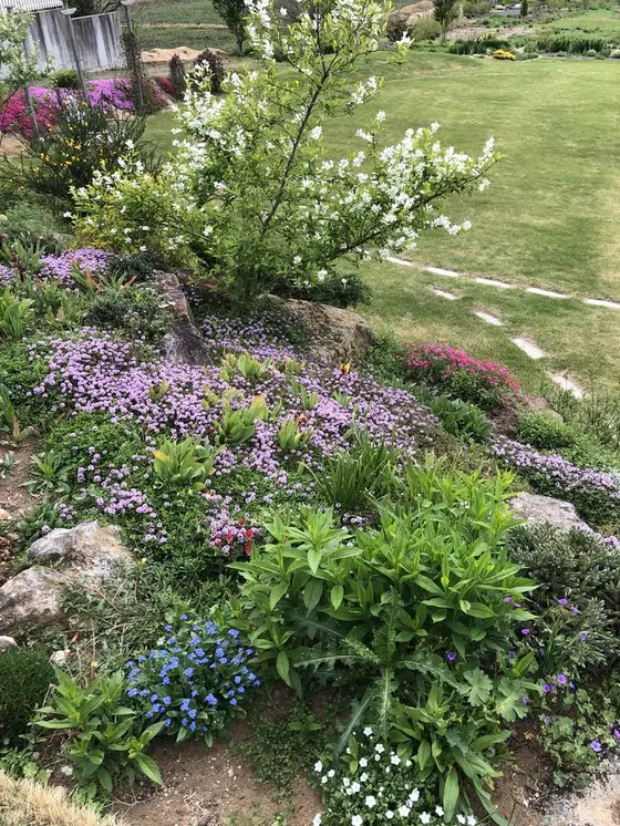 かわいいお庭