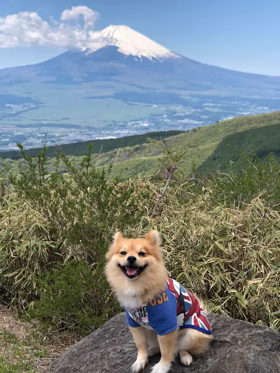 んな 富士山見た事なぃっ!!