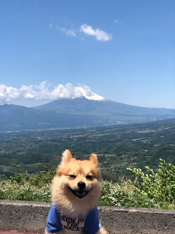 ちょと恥ずかしがりな富士山