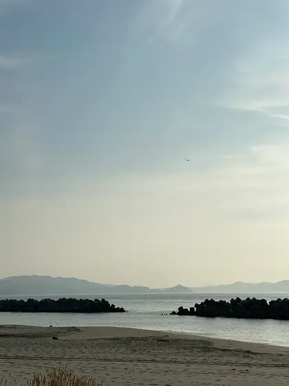朝は瀬戸内海沿岸を散歩🚶‍♂️🚶‍♀️