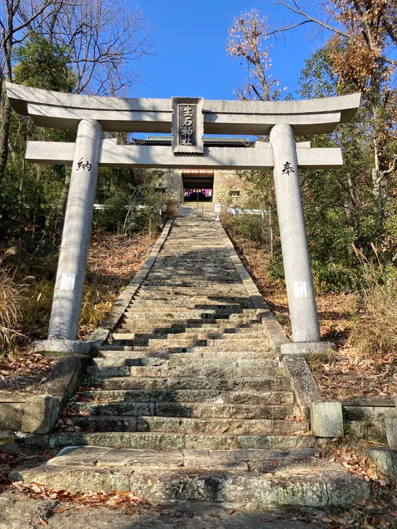 きっつー