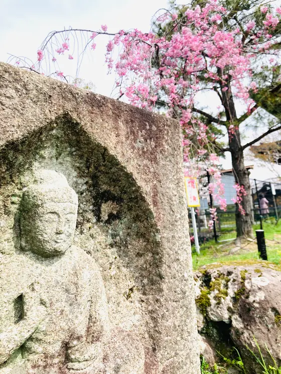 見どころたっぷりの釈迦堂へぜひ