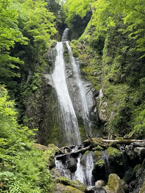 回顧の滝
