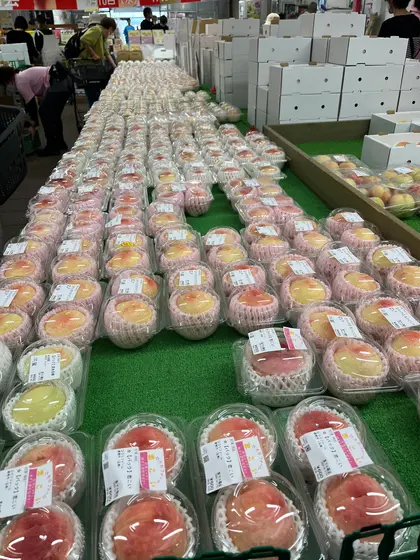 スポット内のおすすめ