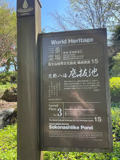 スポット内のおすすめ