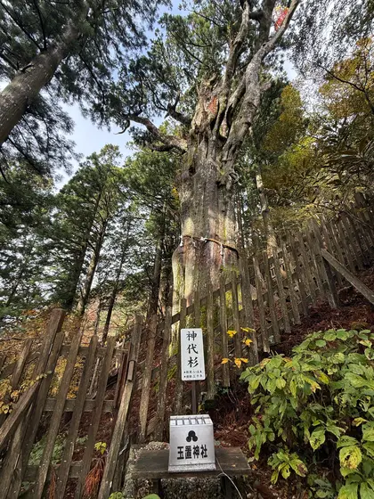 御朱印の切り絵に