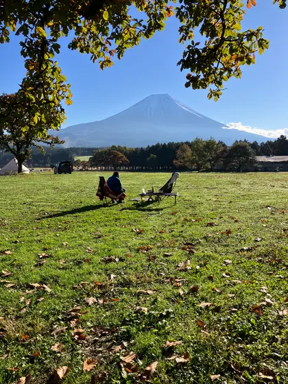晴れた