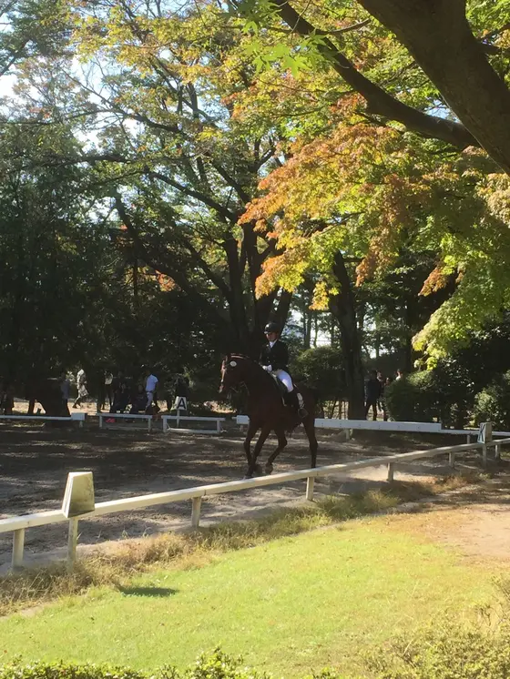 紅葉のはじまり…