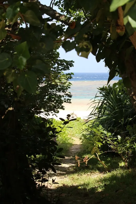 石垣島で1番綺麗なビーチを求めて🏖