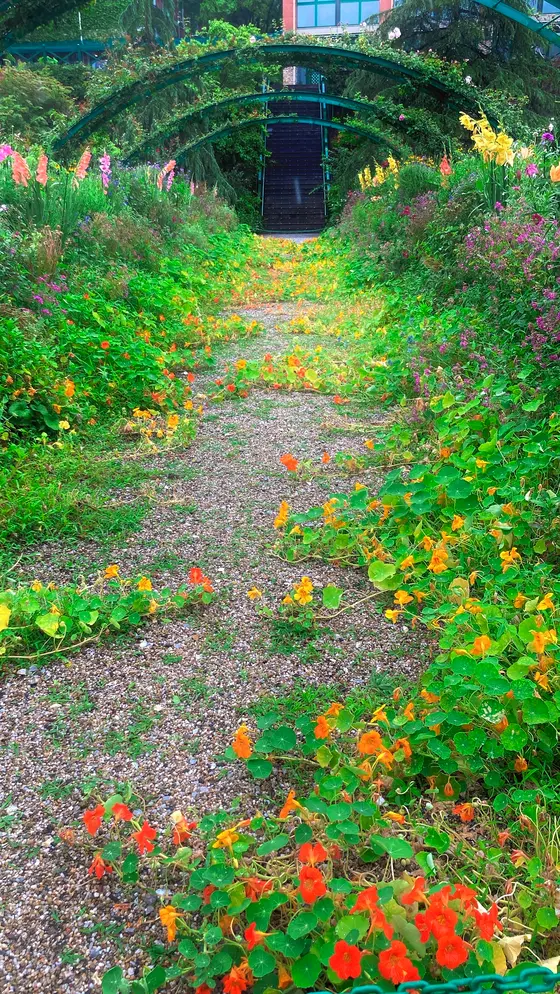 花の庭🌼🌹