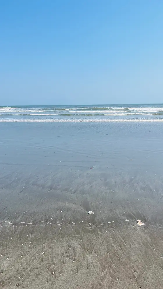 綺麗な砂浜。
