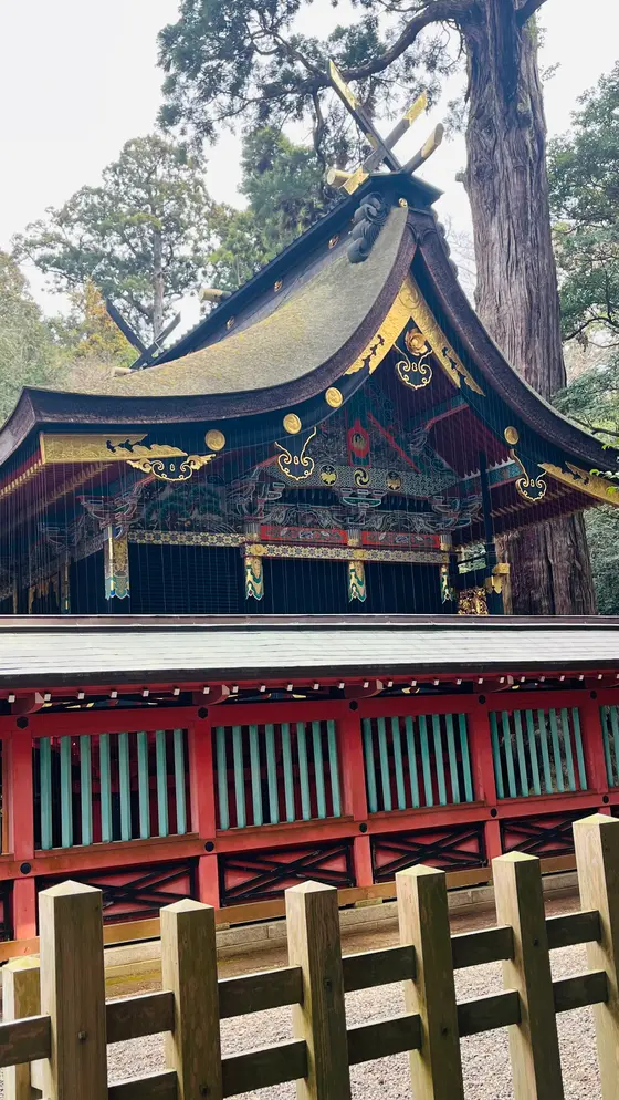 格好いい本殿。