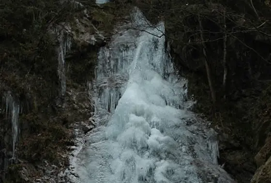 結氷した払沢の滝